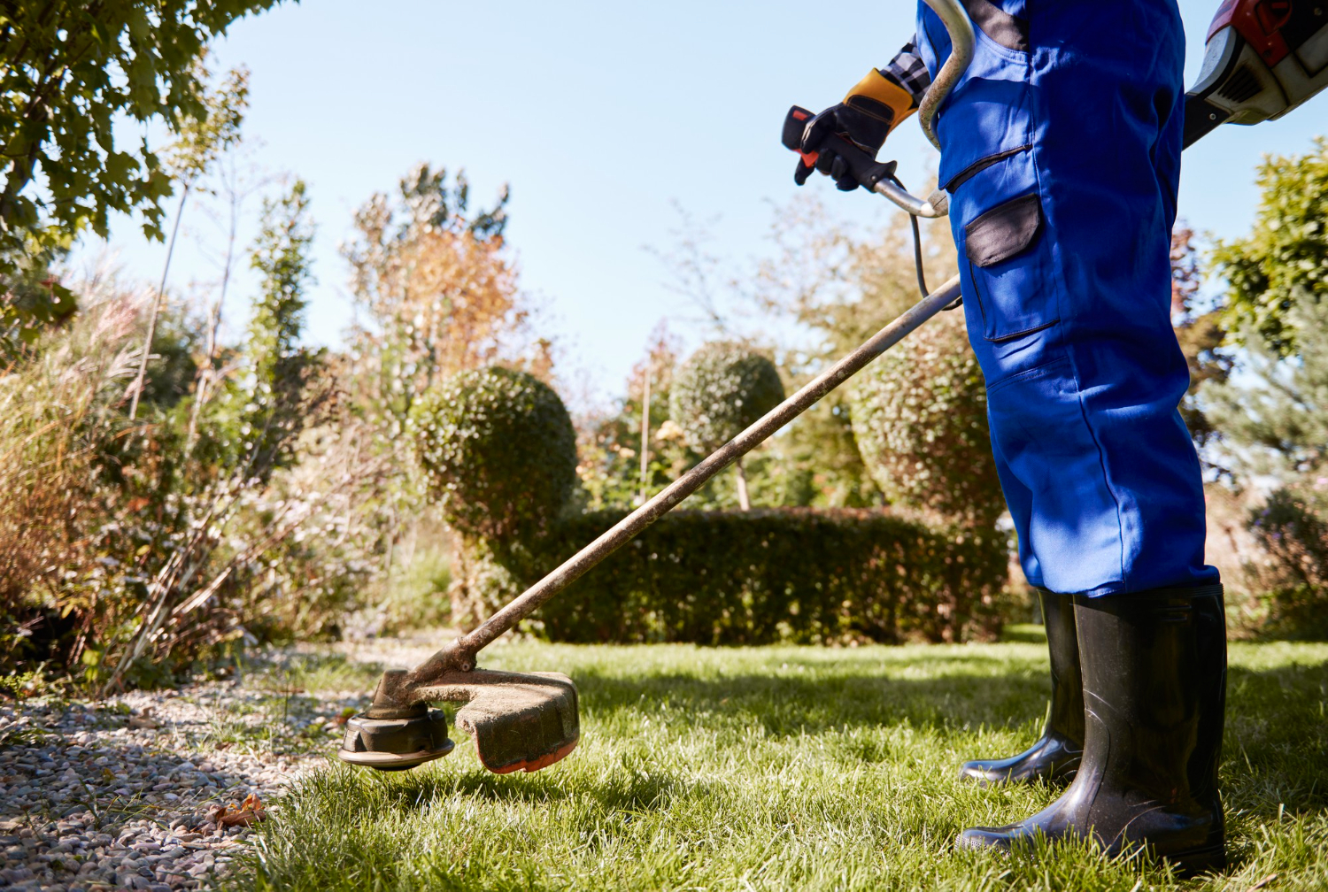 Affordable Weed Control in Winnipeg for Lawns